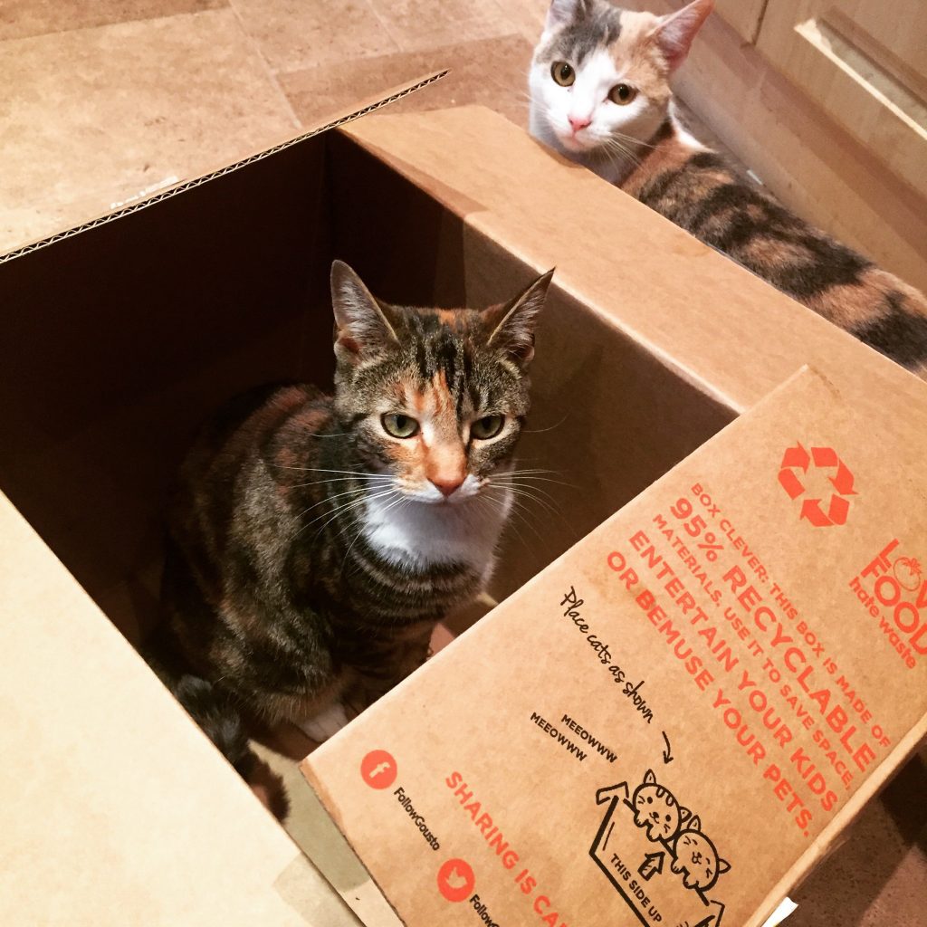 Gousto Review May 2016 09