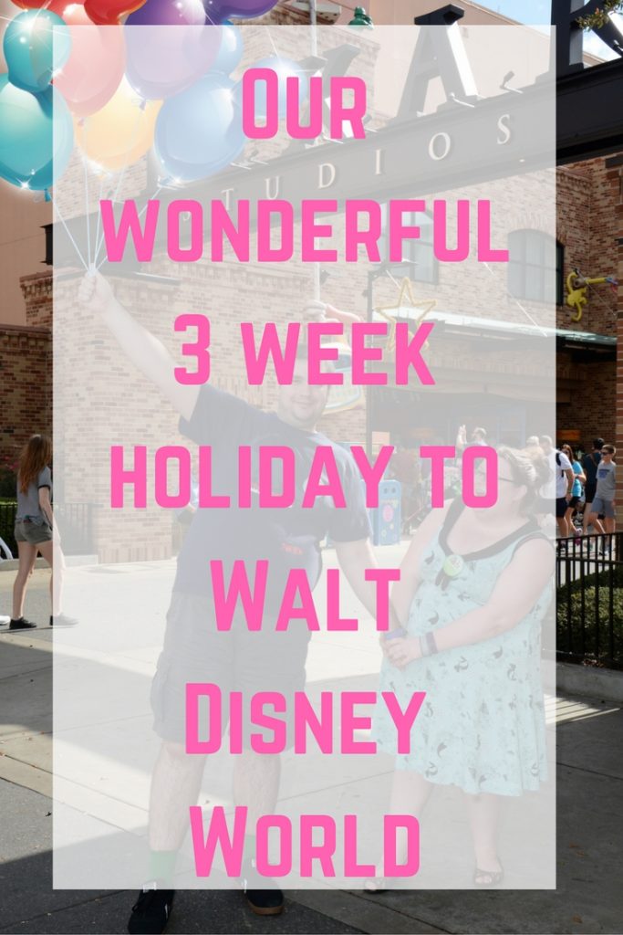 holiday to Walt Disney World