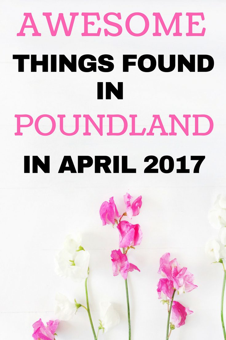 Awesome things found in Poundland in April 2017