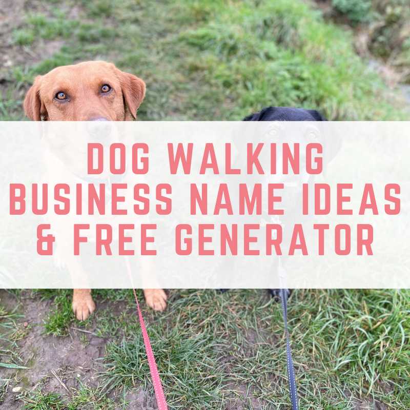 Dog Walking Business Name Ideas & Free Generator