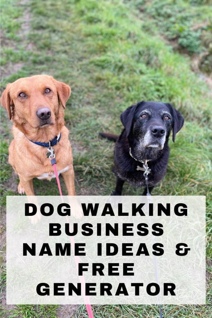 Dog Walking Business Name Ideas & Free Generator