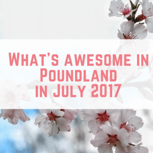 What's awesome in Poundland in July 2017