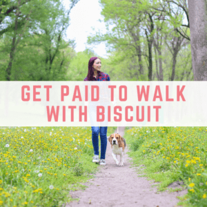 Get paid to walk