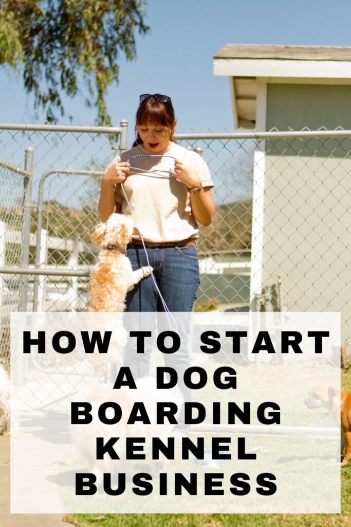 dog kennel business