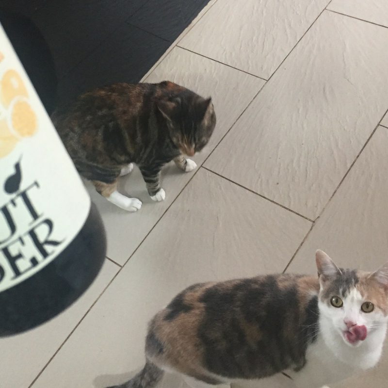 How to cook a whole chicken in your slow cooker (6)