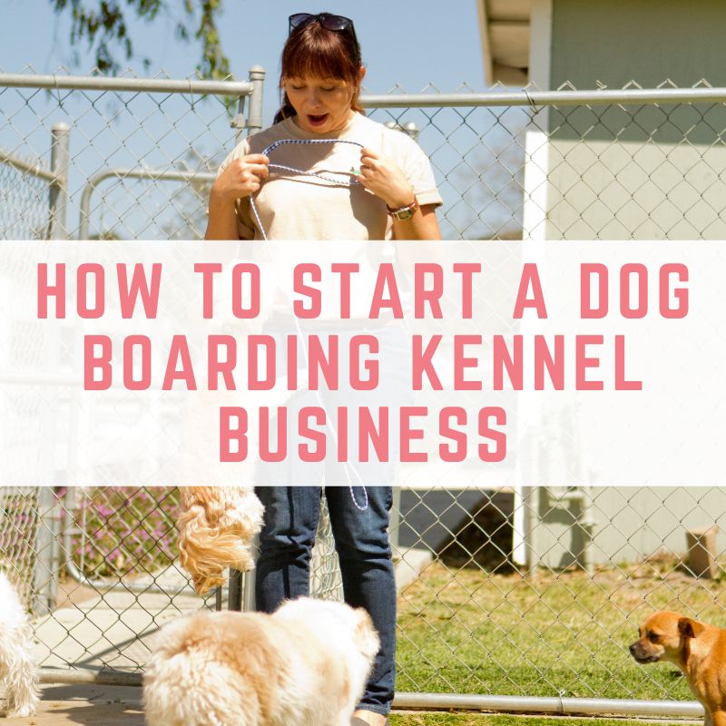 dog kennel business