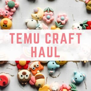 Temu craft haul