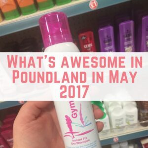 What's awesome in Poundland in May 2017