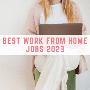 best work from home jobs 2023